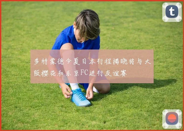 多特蒙德今夏日本行程揭晓将与大阪樱花和东京FC进行友谊赛
